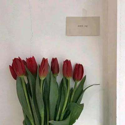 剑动苍穹手游下载